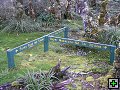 thn_NZ leden-unor 2006 210.jpg